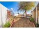 Landscaped backyard with a deck, shed and mature tree at 10951 N 91St Ave # 56, Peoria, AZ 85345