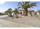 Front yard with mature palm trees and gravel landscaping at 16036 W Sandia Park Dr, Surprise, AZ 85374