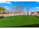 Landscaped backyard with putting green at 21086 E Mewes Rd, Queen Creek, AZ 85142