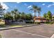 Community pool area featuring palm trees, lounge chairs, and a shaded seating area at 2159 S Luther --, Mesa, AZ 85209