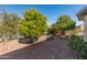 Lovely backyard with mature citrus trees at 26458 W Yukon Dr, Buckeye, AZ 85396