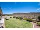 Landscaped backyard with a grassy lawn, desert landscape, and a fence at 30401 N 115Th Dr, Peoria, AZ 85383