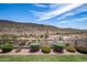 Landscaped backyard with desert mountain views at 30401 N 115Th Dr, Peoria, AZ 85383