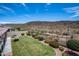 Landscaped backyard with grassy lawn, desert landscape, and a fence at 30401 N 115Th Dr, Peoria, AZ 85383