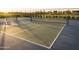 Well-lit pickleball courts with a scenic background at 3332 W Sunstone Dr, San Tan Valley, AZ 85144