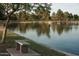 Serene lake view with a bench and lush greenery at 5154 N 83Rd St, Scottsdale, AZ 85250