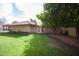 Landscaped backyard with fruit trees and lawn at 7701 S Butte Ave, Tempe, AZ 85284