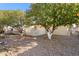 Backyard view, featuring mature orange trees at 1681 Leisure World --, Mesa, AZ 85206