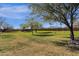 Spacious green lawn area in the community at 5933 E Main St # 47, Mesa, AZ 85206