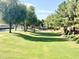 Community greenbelt with lush grass and mature trees at 8454 E Keats Ave, Mesa, AZ 85209