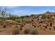 Landscaped entrance to community with desert landscaping and large boulders at 10222 E Southwind Ln # 1066, Scottsdale, AZ 85262