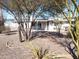 Landscaped backyard with gravel and mature trees at 11001 W Connecticut Ave, Sun City, AZ 85351