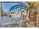 Relaxing pool area with palm tree and hammock at 1378 E Madison Dr, Casa Grande, AZ 85122