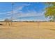 Well-maintained baseball field with a brown dirt infield, green grass outfield, and tall lighting at 30968 W Monterey Ave, Buckeye, AZ 85396