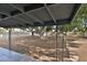 Covered patio overlooking backyard with large tree at 523 S Spencer St, Mesa, AZ 85204