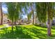 Landscaped community yard with lush grass and mature trees at 750 E Northern Ave # 1089, Phoenix, AZ 85020