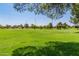 Expansive grassy soccer field with goal at 9030 S Maple Ave, Tempe, AZ 85284