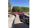 Landscaped border with colorful flowers and pathway at 9364 W Cashman Dr, Peoria, AZ 85383