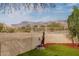 Landscaped backyard with mountain views at 10938 E Pleasant Pl, Gold Canyon, AZ 85118