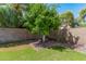 Landscaped backyard with a mature citrus tree and rock border at 1116 W Courtney Ln, Tempe, AZ 85284