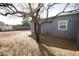 Large backyard with mature tree and gravel area at 1331 E Mckinley St, Phoenix, AZ 85006