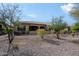 View of home's backyard with desert landscaping at 16918 W Palm Ln, Goodyear, AZ 85395