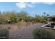 Landscaped backyard with gravel and desert plants at 16918 W Palm Ln, Goodyear, AZ 85395
