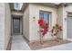 Front entry with gray door and vibrant red flowers at 2796 E Inca Ln, San Tan Valley, AZ 85140
