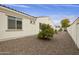 Side yard with gravel and a small lemon tree at 4937 S Pulse Ter, Mesa, AZ 85212