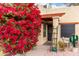 Front entry with lush bougainvillea and a charming walkway at 507 S Sand Verbena Way, Mesa, AZ 85208