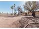 Large backyard with gravel, mature trees, and patio at 8208 E Shea Blvd, Scottsdale, AZ 85260