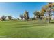 Expansive green golf course with rolling hills and mature trees at 8208 E Shea Blvd, Scottsdale, AZ 85260
