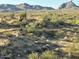 Scenic view of Arizona desert landscape with mountains at 10401 N Saguaro Blvd # 213, Fountain Hills, AZ 85268