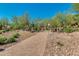 Brick-paved path through desert landscaping at 12759 W Eagle Ridge Ln, Peoria, AZ 85383