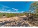 Paved community path with desert landscape at 12759 W Eagle Ridge Ln, Peoria, AZ 85383