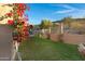 Landscaped backyard featuring lush grass and bougainvillea at 15632 S 6Th St, Phoenix, AZ 85048