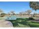 Inviting pool with a spacious patio and lush landscaping at 2005 N 169Th Ave, Goodyear, AZ 85395