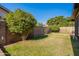 Spacious backyard with lush lawn and mature trees at 2454 W Hearn Rd, Phoenix, AZ 85023