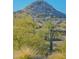 Scenic desert landscape with mountains and cacti at 28365 N 124Th Dr, Peoria, AZ 85383