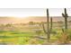 Scenic view of a lush golf course at sunset, with cacti in the foreground at 28365 N 124Th Dr, Peoria, AZ 85383