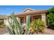 Front view of the house with cacti and desert plants at 42276 W Chisholm Dr, Maricopa, AZ 85138