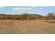 Expansive backyard space with natural desert landscaping and mountain views at 43006 N 3Rd Ave, New River, AZ 85087