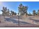 View of backyard through a metal fence, featuring trees and landscaping at 4557 W Agave Ave, Eloy, AZ 85131