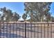 View of backyard through a metal fence, featuring trees and landscaping at 4557 W Agave Ave, Eloy, AZ 85131