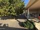 Landscaped backyard with mature citrus trees and gravel at 4624 E Emerald Ave, Mesa, AZ 85206