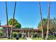 Pool house framed by tall palm trees at 10206 N 105Th Way, Scottsdale, AZ 85258