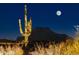 Night view of property showcasing a saguaro cactus and mountain backdrop at 11501 E Mark Ln, Scottsdale, AZ 85262