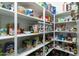 Well-stocked pantry with ample shelving at 11971 E Chevelon Trl, Gold Canyon, AZ 85118