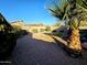 Landscaped backyard with gravel and a large palm tree at 16602 W Tasha Dr, Surprise, AZ 85388