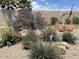 Landscaped backyard with desert plants and orange chairs at 18114 W Desert Sage Dr, Goodyear, AZ 85338